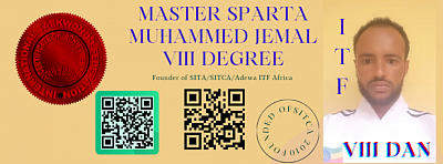 https://www.spartacusitfethiopia.et